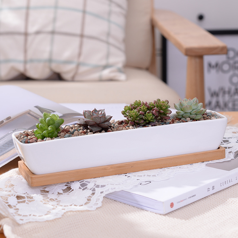 Desktop Organizer Bamboo - Vaso de plantador suculento de cerâmica