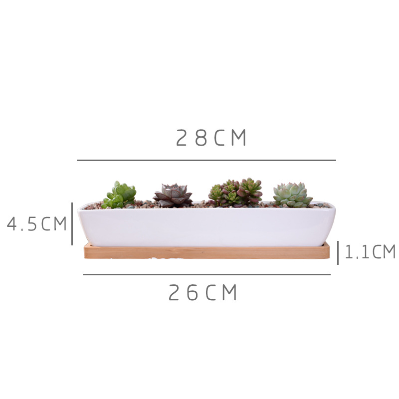 Vaso de plantador suculento de - Desktop Organizer Bamboo avaliação e preço