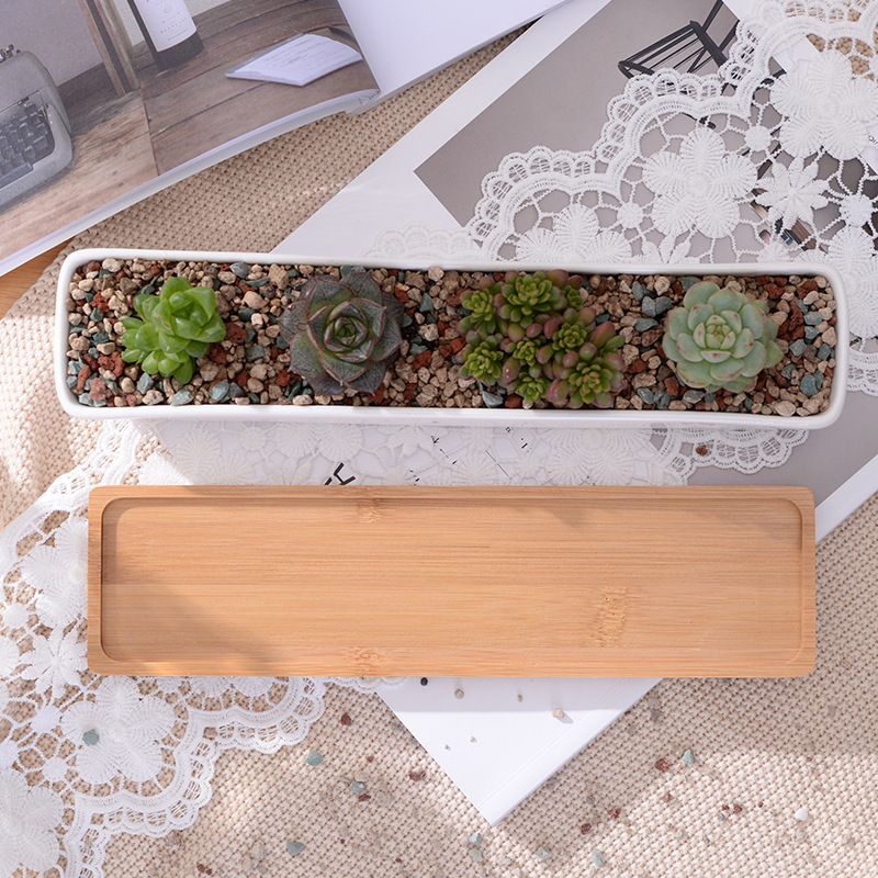 Vaso de plantador suculento de - Desktop Organizer Bamboo avaliação e preço