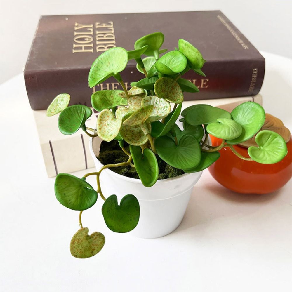 Cola macia planta artificial e - Home Office Word avaliação e preço