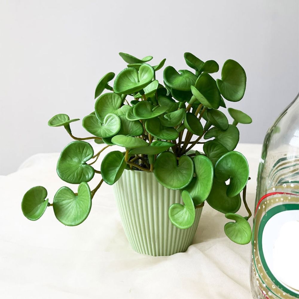 Cola macia planta artificial e - Home Office Word avaliação e preço
