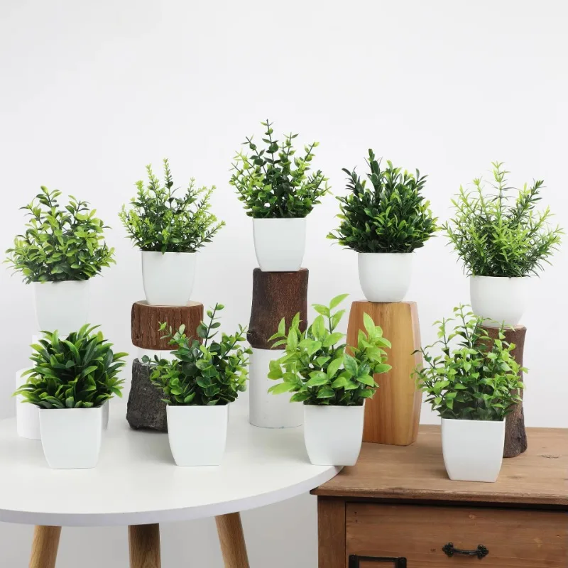 Atacado OEM/ODM Mini Plantas A - Home Office Word avaliação e preço