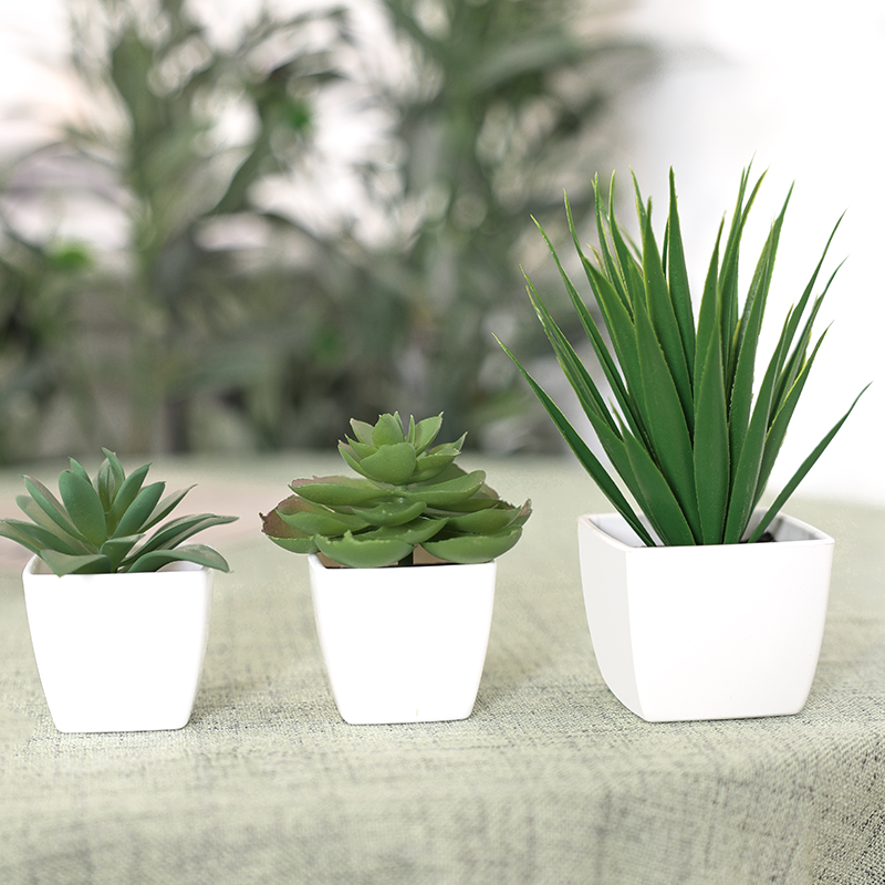 Artificial Evergreen Plant Bon - Home Office Word avaliação e preço