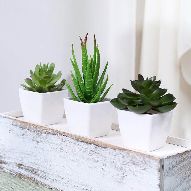 Artificial Evergreen Plant Bon - Home Office Word avaliação e preço