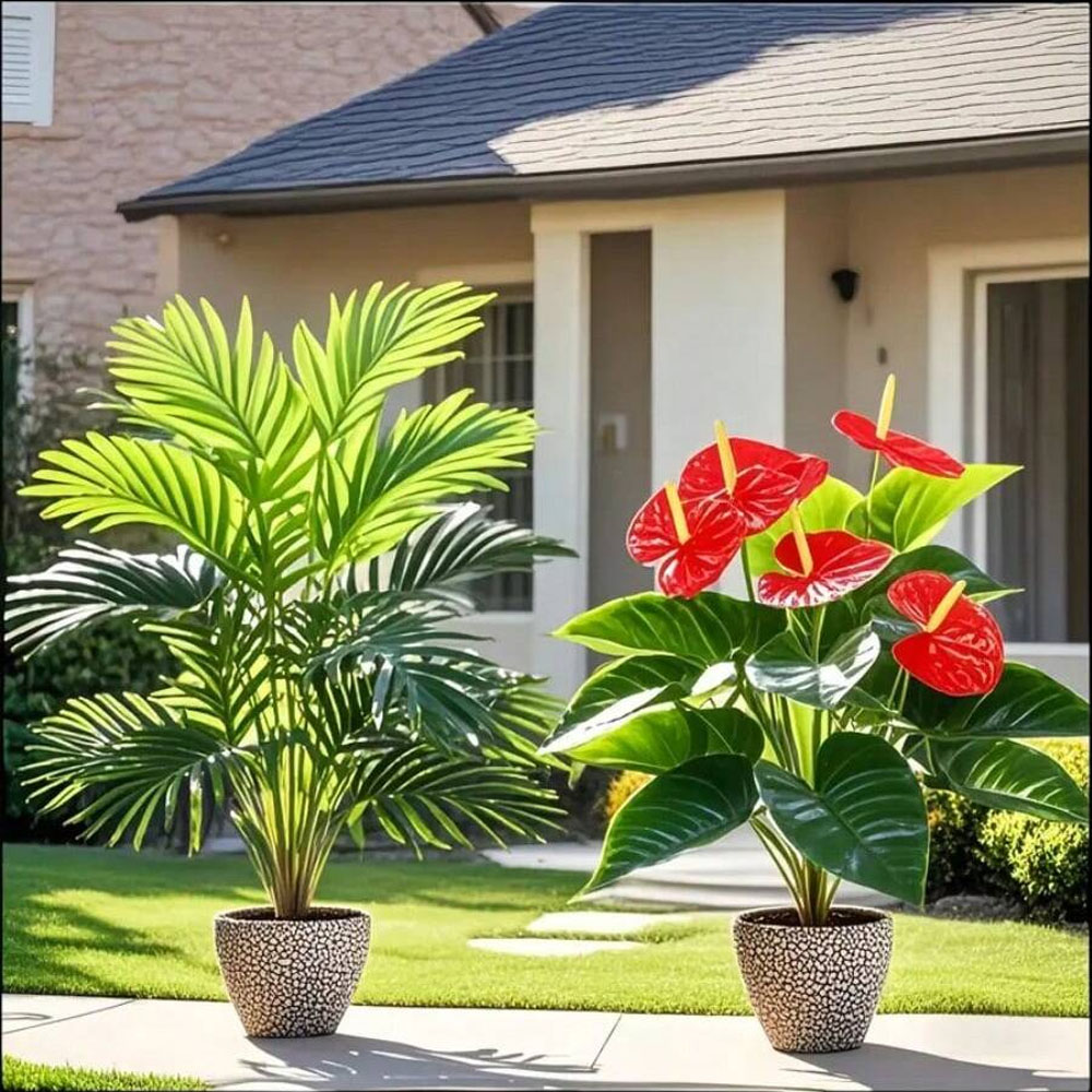 2 conjuntos de grandes plantas - Home Office Word avaliação e preço