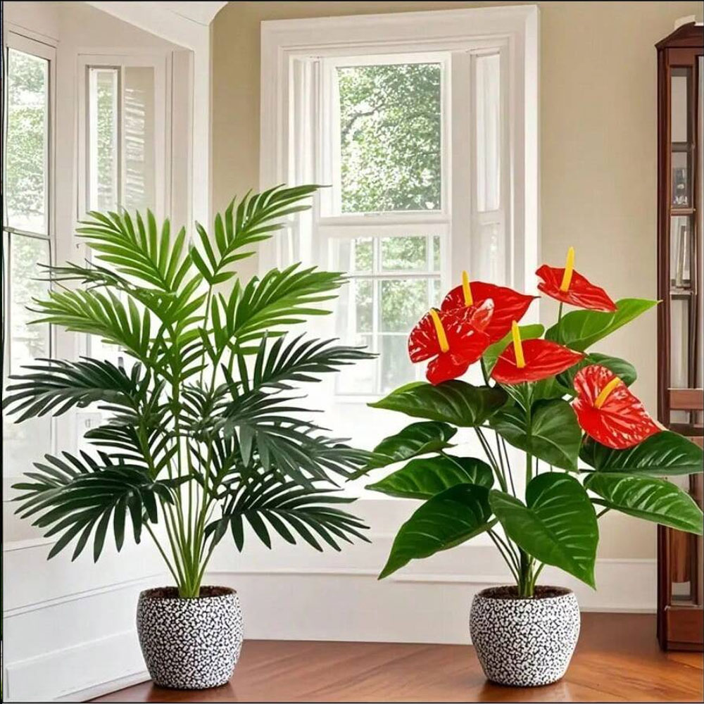 2 conjuntos de grandes plantas - Home Office Word avaliação e preço