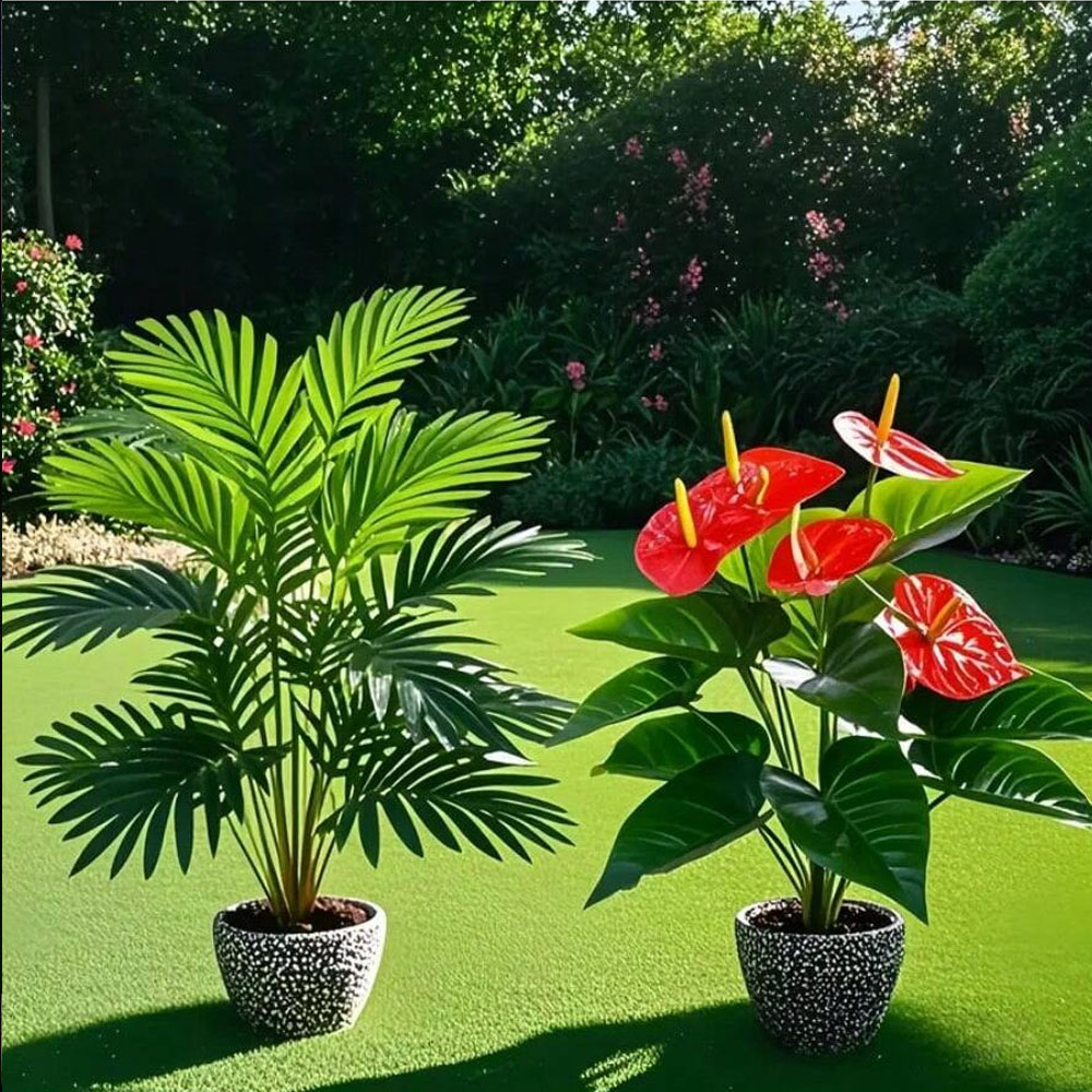 2 conjuntos de grandes plantas - Home Office Word avaliação e preço