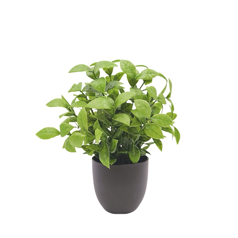 Bonsai de Planta Verde Simulad - Home Office Word avaliação e preço